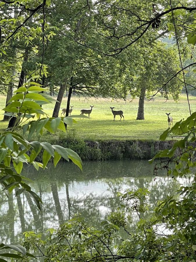 Htr Tx Hill Country Campground カーヴィル エクステリア 写真